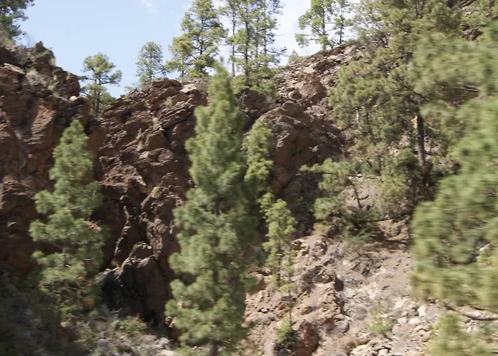 La Puerta Del Sol * Адехе