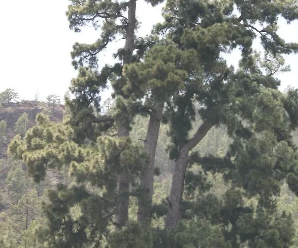 La Puerta Del Sol Feriehus *